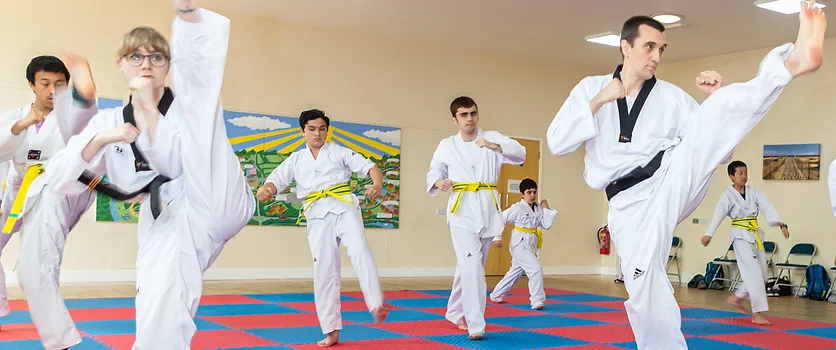 Taekwondo side-kick