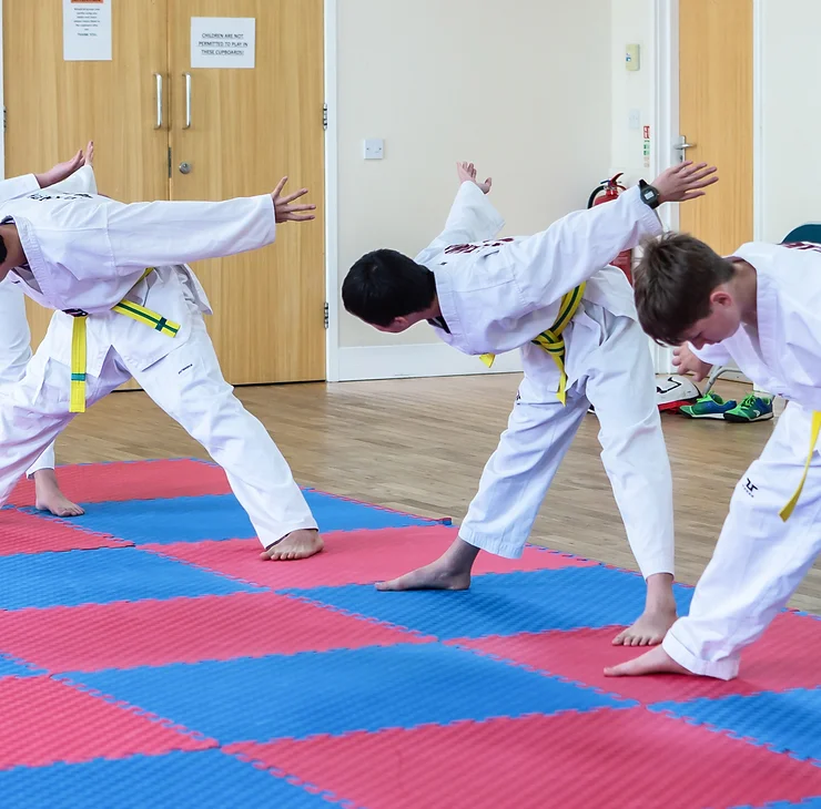 Taekwondo stretch